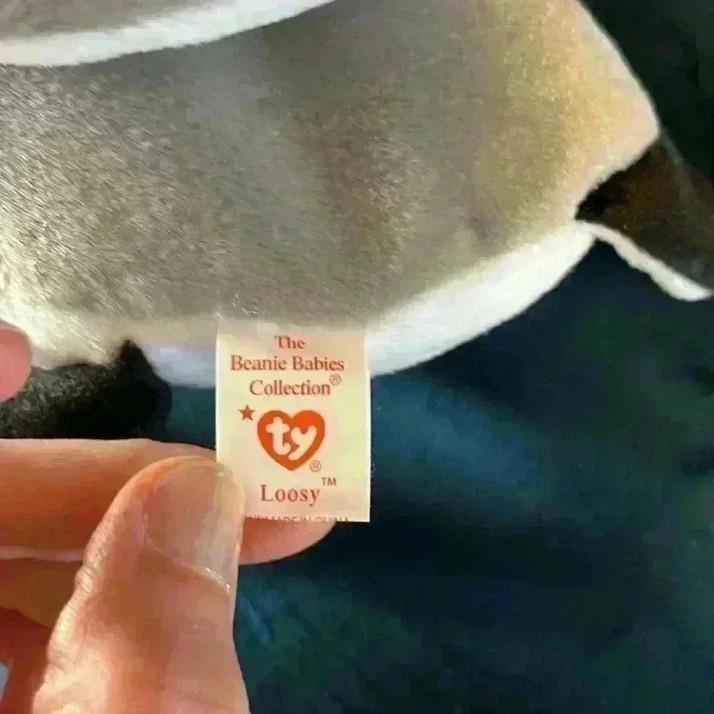 Ty Beanie Baby Loosy